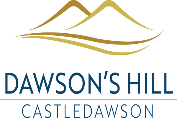 
          Dawson's Hill Castledawson Update
        