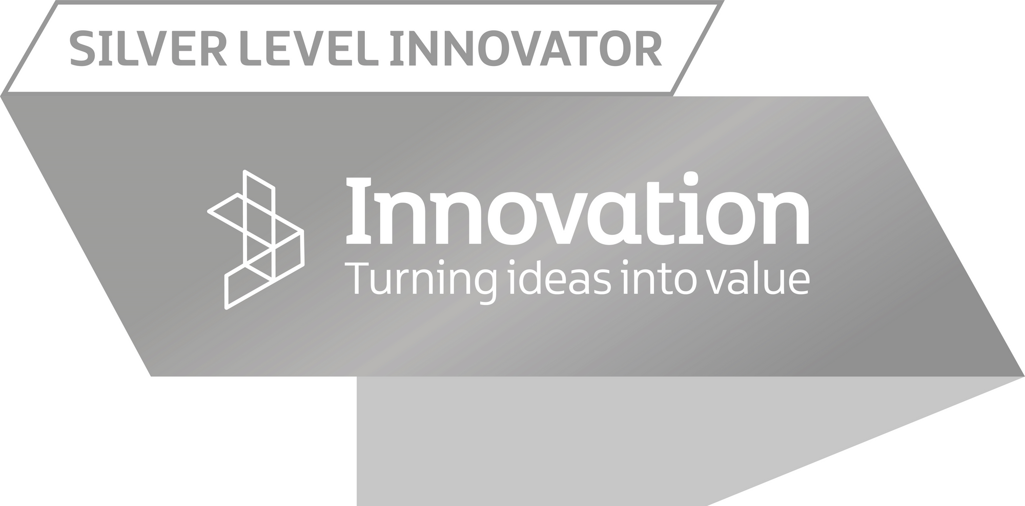 
                  Silver Level Innovators Award
                
