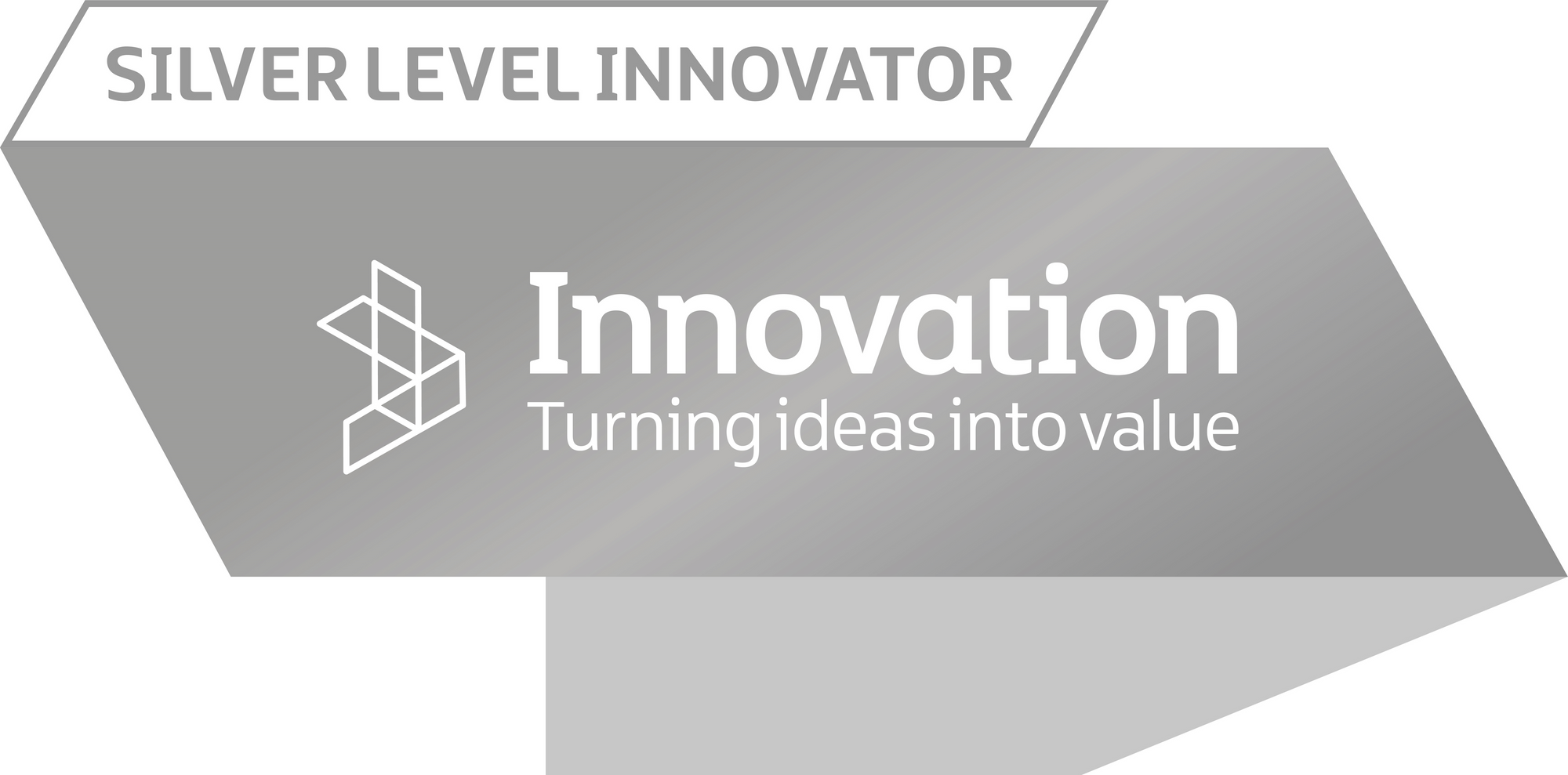 
          Silver Level Innovators Award
        